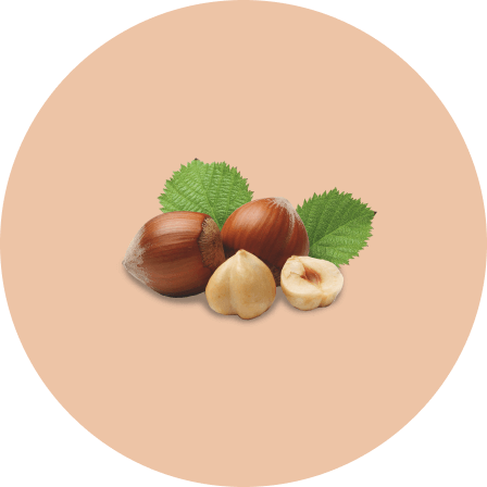 Noisette