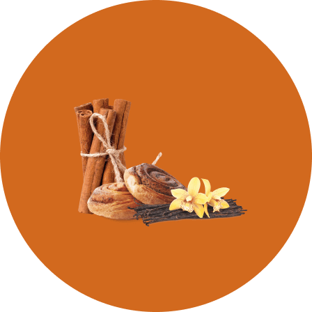 Vanille - brioche à la cannelle